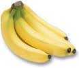 http://chatthugian.mobie.in